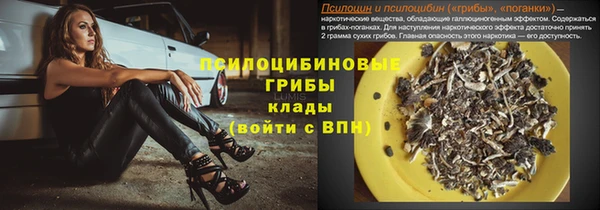 бошки Алзамай