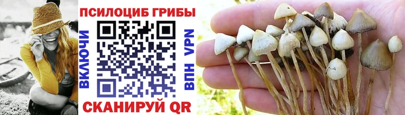 Псилоцибиновые грибы GOLDEN TEACHER  Игра 